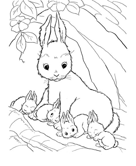 Diaper raffle tickets are important because they tell your guests exactly what to do. Printable rabbit-family-coloring-page - Coloringpagebook.com