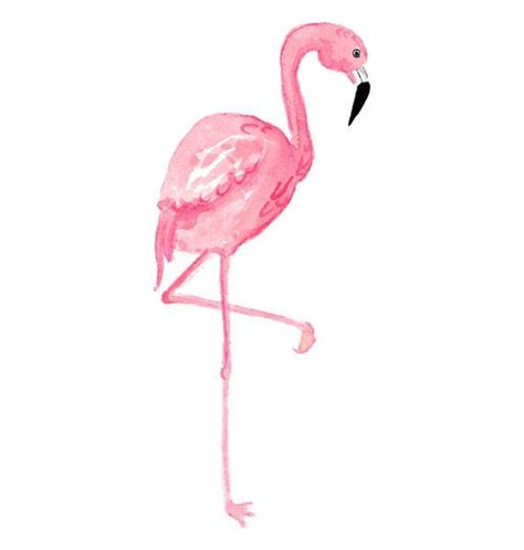 Library Of 3 Cute Flamingo Dancing Clip Art Free Download