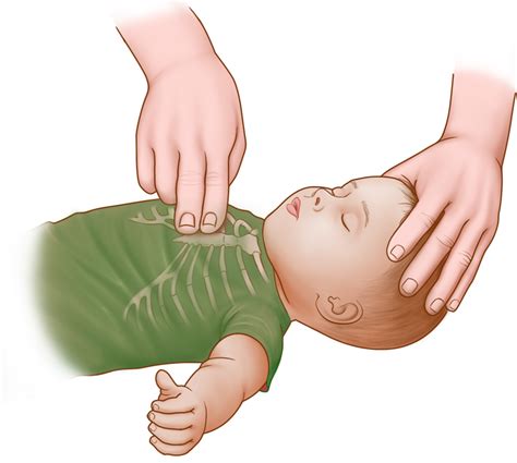 CPR For Infants Up To Months Step By Step Guide
