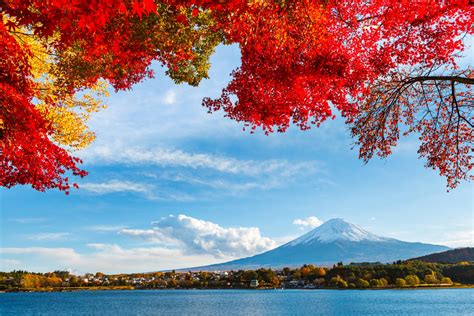 Japan Fuji Sky Clouds Mountain Snow Leaves Autumn Lake Tree Hd Wallpaper