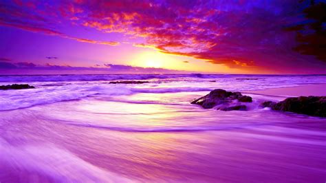 Purple Beach Sunset 4K HD Wallpapers | HD Wallpapers | ID #31905