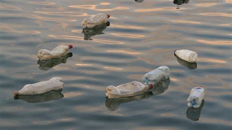 Plastic Bottles Floating And Polluting Stock Footage Video 100