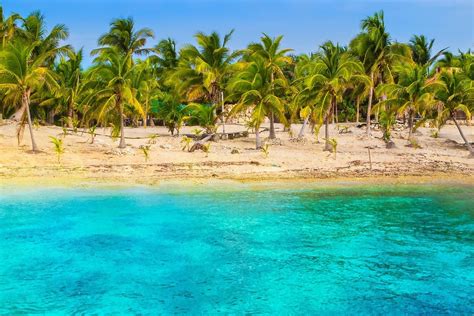 1230x768 Nature Landscape Aerial View Beach Sea Turquoise Water Palm