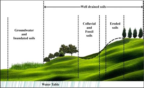 Microclimate Vegetation And Slopes Influencing Soil Formation