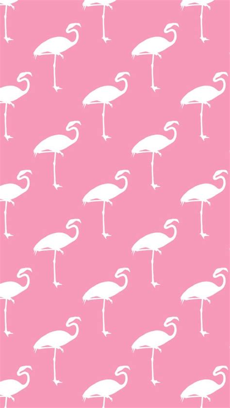 Pink Flamingo Free Iphone Wallpaper Silver Spiral Studio Flamingo