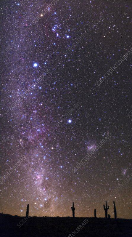 Milky Way And Cacti Atacama Desert Chile Stock Image C0163026
