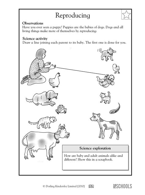 Science For First Graders Worksheets