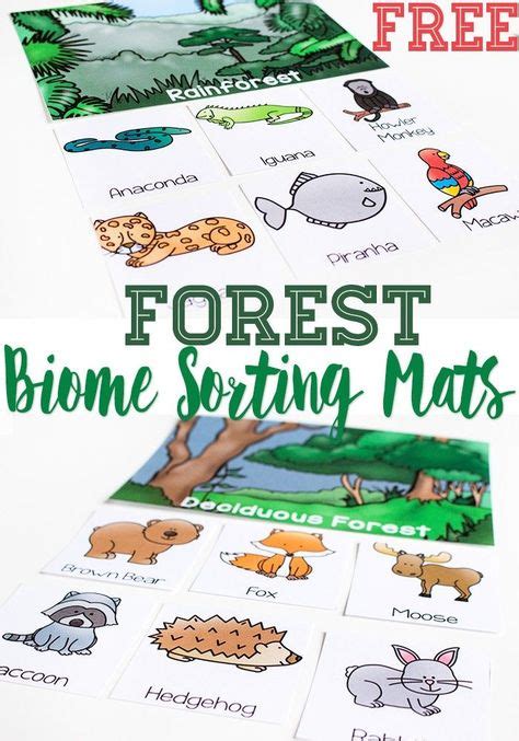 20 Forest Animals Theme Ideas Forest Animals Theme Forest Animals