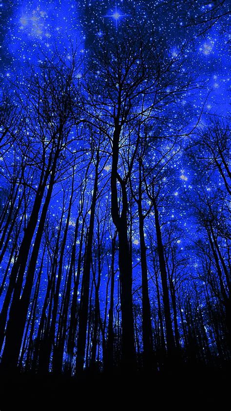 Starry Night Forest Resim Telefon Duvar Ka Tlar Do A Beautiful