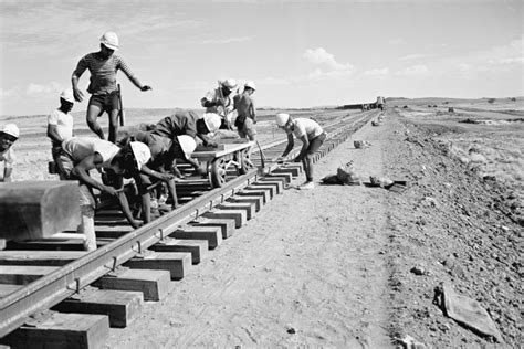 Track Laying Near King Bay Dampier November 1965 State Library Of