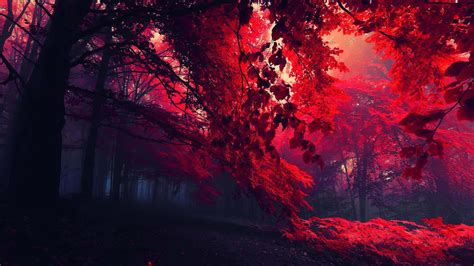 Download Aesthetic Red Background 1920 X 1080