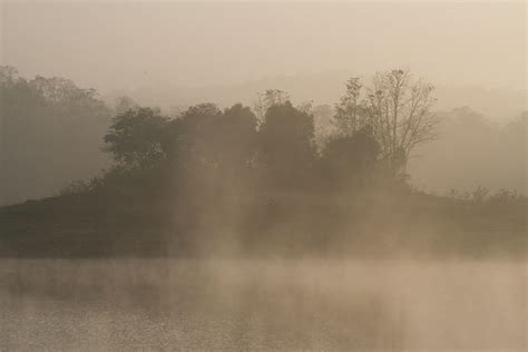 Mist Covered River Periyar Periyar Tiger Reserve Eco Tourism