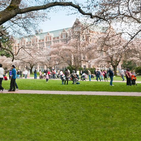 The 25 Most Beautiful College Campuses In America College Campus Usa