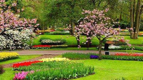 Spring Scenery Wallpaper For Android Apk Download