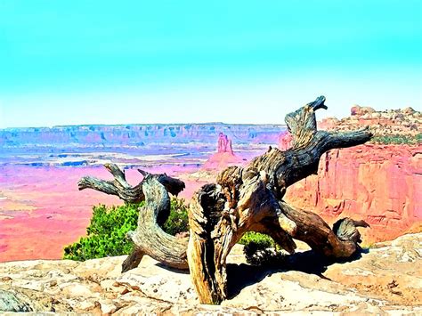 Colorful Desert Landscape Photograph By Susan Leggett Fine Art America