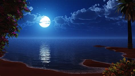 41 Beach Moon Wallpapers Wallpapersafari