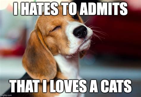 Image Tagged In Winking Beagle Imgflip