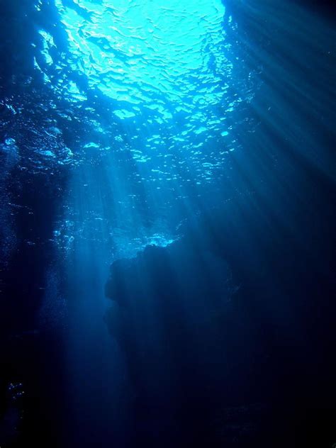 313 Eternal Light In 2021 Underwater Painting Underwater Wallpaper