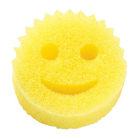 Scrub Daddy Shark Tank S Biggest Success Story Review
