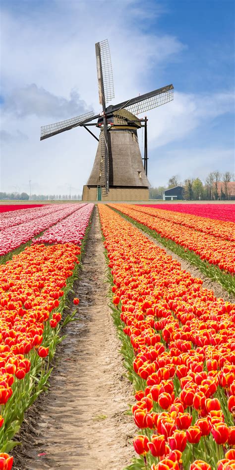 √ Netherlands Nature Attractions