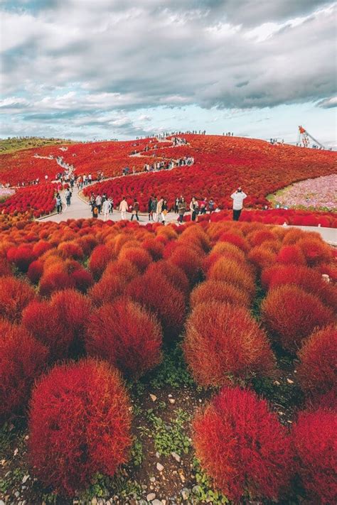 見た目より内面のほうがずっとすてきです。 mitame yori naimen no hō ga zutto suteki desu. 12 Beautiful Places That Belong on your Japan Bucket List ...
