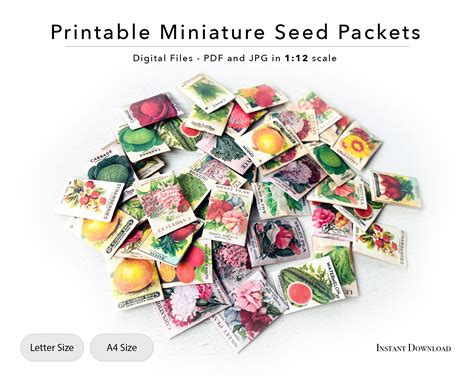 Printable Miniature Seed Packets Digital File Printable | Etsy in 2022