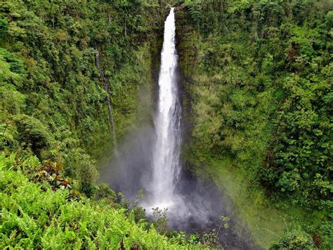 Akaka Falls Hawaii Waterfalls From Explore The Big Island In Kailua