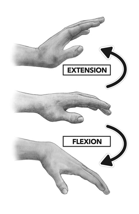 Wrist Movements Basic English Sentences Exercise Stretches Before