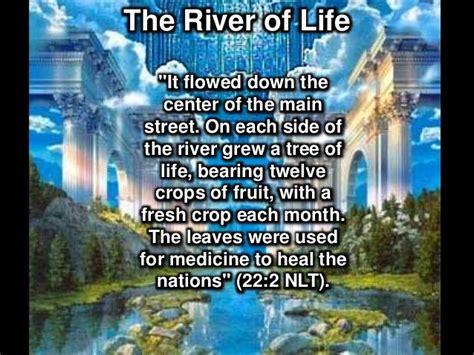 Revelation 21 22 The New Jerusalem