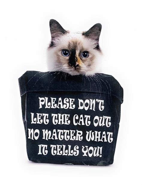 Please Do Not Let The Cat Out No Matter What It Tells You Etsy