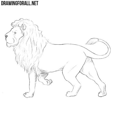 Collection of drawing ideas, how to draw tutorials. How to Draw a Nemean Lion | Drawingforall.net