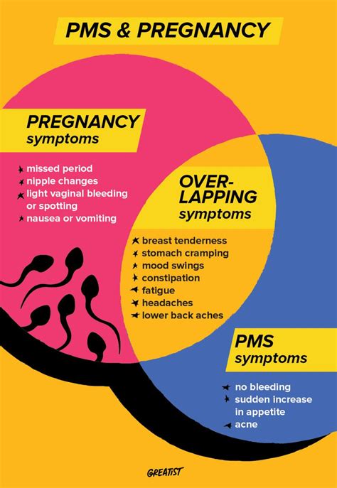 Pms Vs Pregnancy Symptoms How Theyre Different
