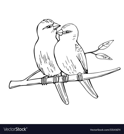 Two Birds Sitting On A Branch Sketch Royalty Free Vector
