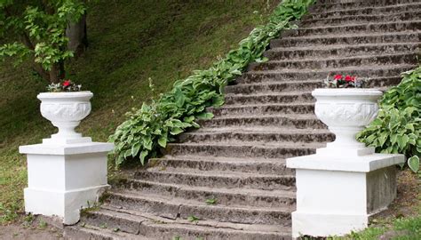 Toplinked stairs and changed story height. Ground Cover Plants for High-Traffic Areas | Garden Guides