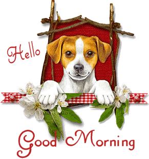 German shepherd good morning gif wifflegif. hello, good morning | Good morning animation, Good morning ...