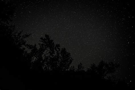 Fotos Gratis En Blanco Y Negro Cielo Noche Estrella Atmósfera