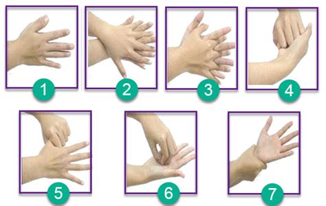 Mencuci tangan mengikut cara yang betul adalah cara terbaik dan paling mudah untuk mencegah penyakit dan kuman dari merebak! Menyimpulkan Isi Teks Prosedur | Mikirbae