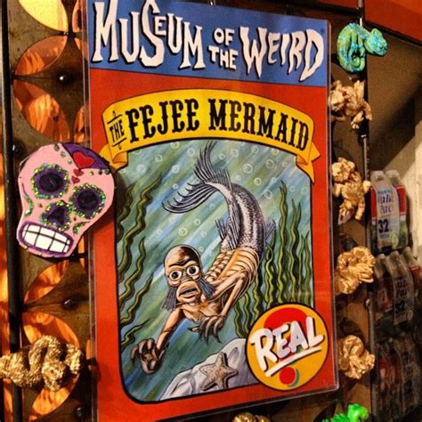 At The Museum Of Weird You Can See Unbelievable Exhibits Like The Fiji