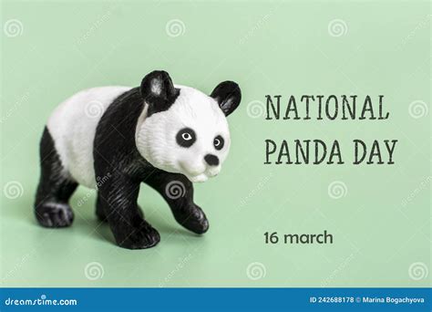National Panda Day 16 March Celebrate Fluffiest Bamboo Munching Bears
