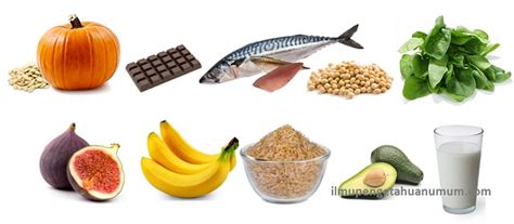 Jenis sayuran yang mengandung vitamin d. Jenis Makanan Yang Mengandung Vitamin D