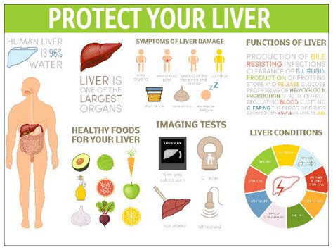 How To Improve Your Liver