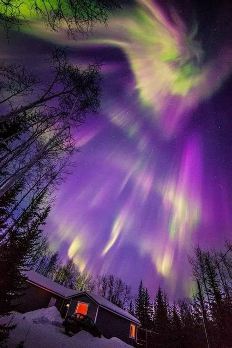 Alaska Aurora Boreal Aurora Borealis Northen Lights