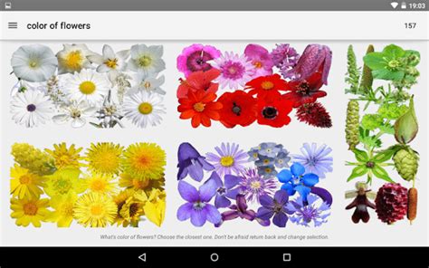 How to identify flowers by their leaves. Apps To Help You Identify Unknown Plants And Flowers ...