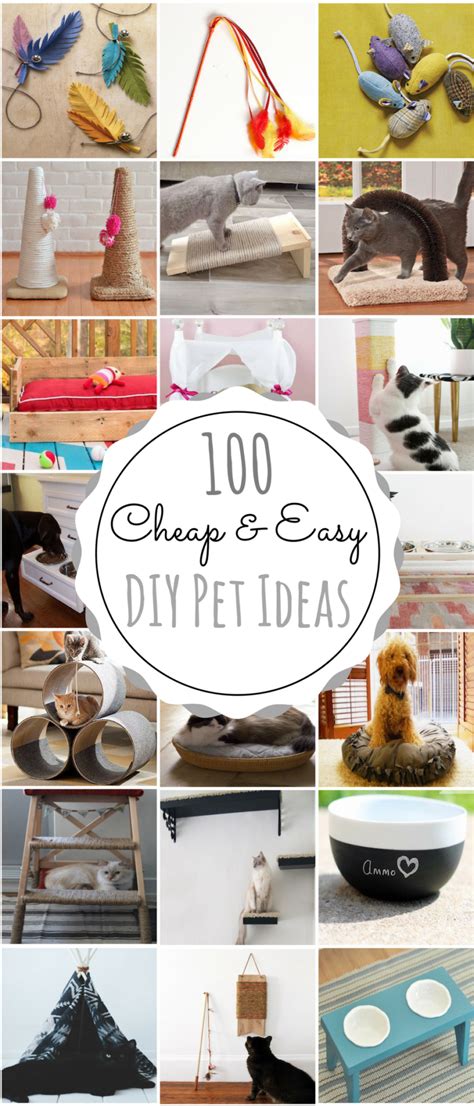 100 Cheap And Easy Diy Pet Projects Prudent Penny Pincher