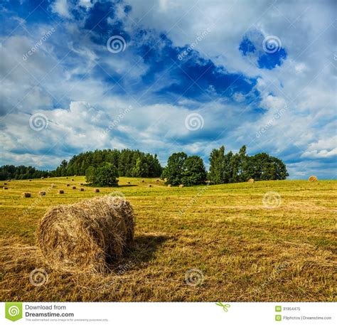 Best 46+ Agricultural Background on HipWallpaper | Agricultural Background, Agricultural Land ...