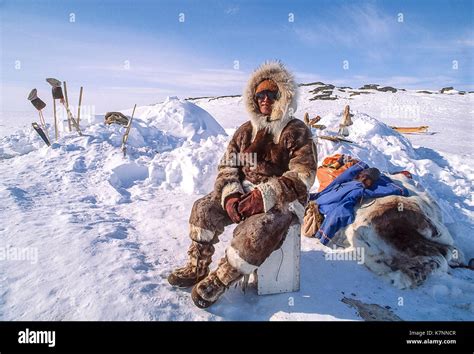 Inuit Elder 60s Dressed In Traditional Caribou Skin Clothing Rests