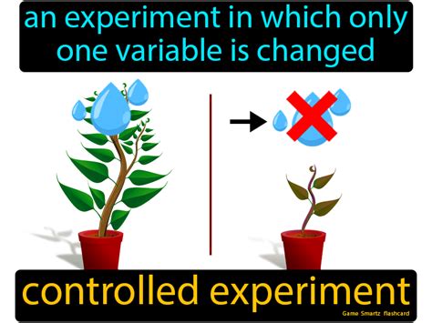 Discover The Power Of Controlled Experiments