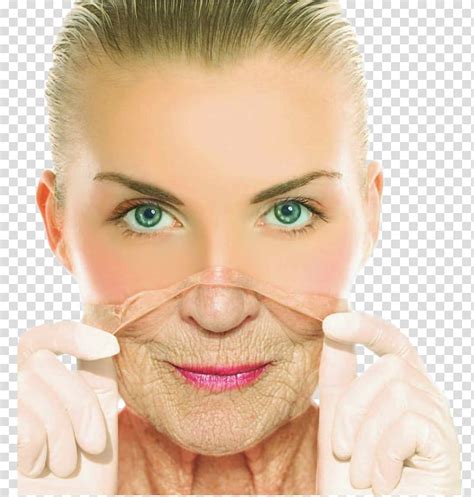 Free Download Ageing Anti Aging Cream Wrinkle Life Extension Skin