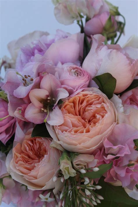 Beautiful Peach David Austin Roses Combine With Flowers In Shades Of