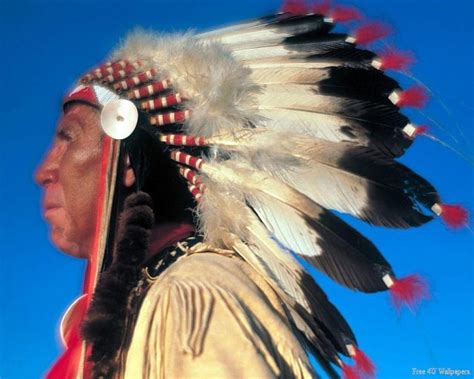1290x2796px 2k free download native american chieftain native feathers american sky